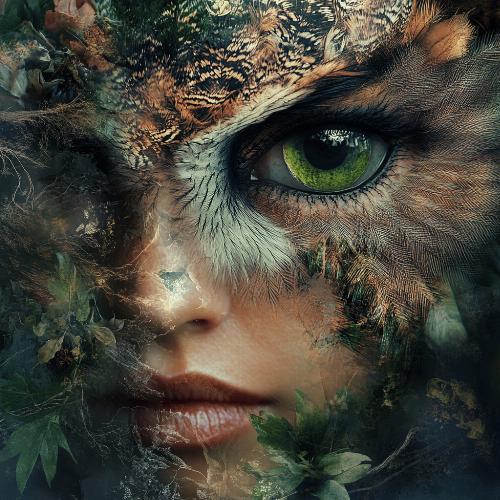 Avatar de Zlata Novak